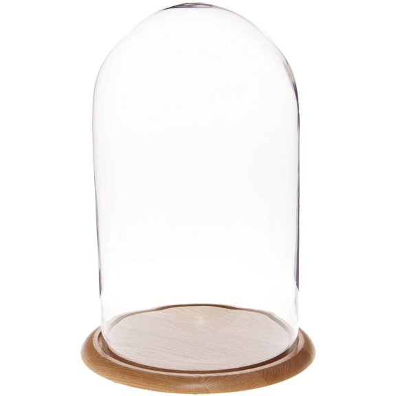 Plymor 11.75" x 20" Glass Display Dome Cloche (Oak Wood Base)