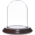 thumbnail image 1 of Plymor 2.5" x 3.5" Small Glass Display Dome Cloche (Dark Mahogany Veneer Base), 1 of 1
