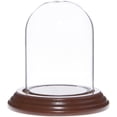 thumbnail image 1 of Plymor 2.5" x 3.5" Small Glass Display Dome Cloche (Walnut Veneer Base), 1 of 1