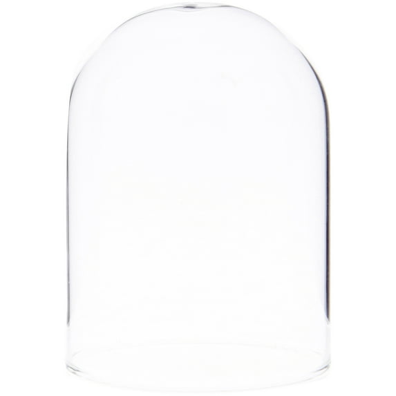 Plymor 2.5" x 3.5" Small Glass Display Dome Cloche (no Base)