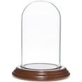 thumbnail image 1 of Plymor 2.5" x 4.5" Small Glass Display Dome Cloche (Walnut Veneer Base), 1 of 1