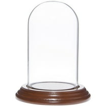 Plymor 2.5" x 4.5" Small Glass Display Dome Cloche (Walnut Veneer Base)