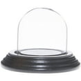 thumbnail image 1 of Plymor 2" x 2" Mini Glass Display Dome Cloche (Black Wood Veneer Base), 1 of 1