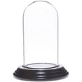 thumbnail image 1 of Plymor 2" x 4" Mini Glass Display Dome Cloche (Black Wood Veneer Base), 1 of 1