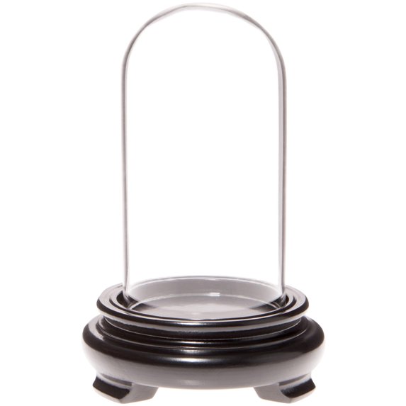 Plymor 2" x 4" Mini Glass Display Dome Cloche (Black Wood Veneer Footed Base)