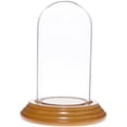 thumbnail image 1 of Plymor 2" x 4" Mini Glass Display Dome Cloche (Oak Veneer Base), 1 of 1