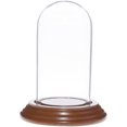 thumbnail image 1 of Plymor 2" x 4" Mini Glass Display Dome Cloche (Walnut Veneer Base), 1 of 1