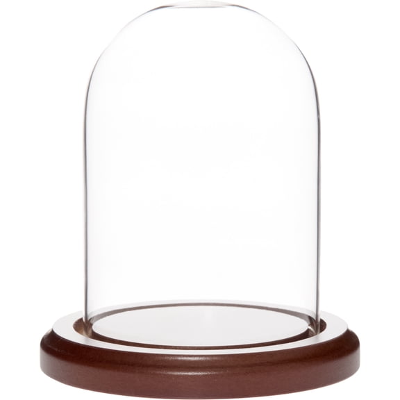 Plymor 3 inch x 4 inch Glass Display Dome Cloche (Dark Wood Base)