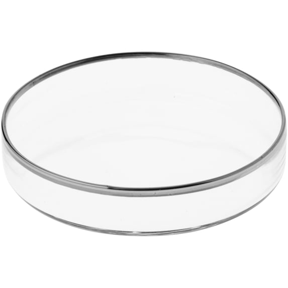 Plymor 3" x 3" Round Glass Display Tray (Silver Rim), Pack of 2