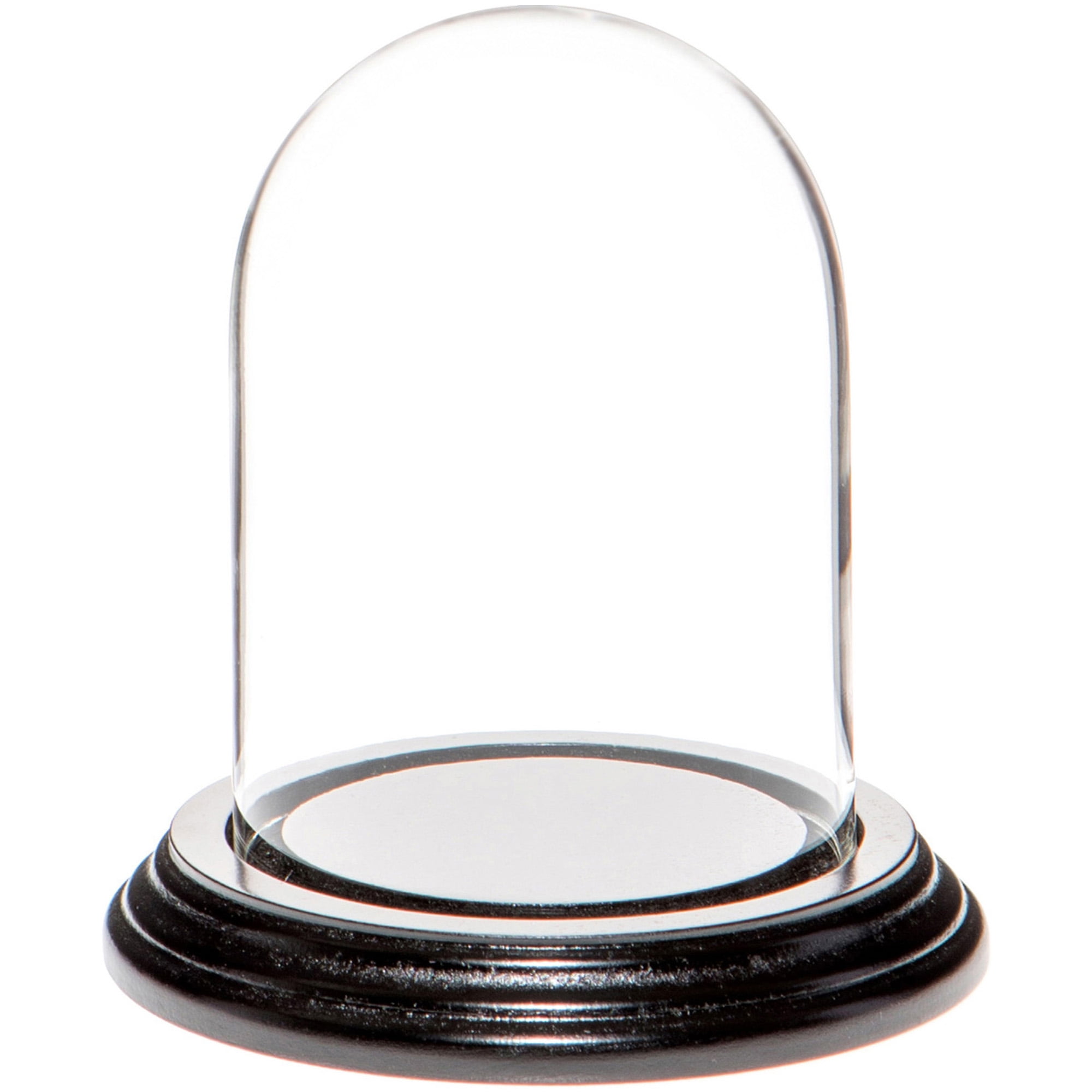 Plymor 3" x 4" Glass Display Dome Cloche (Black Wood Veneer Base ...