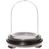 Plymor 3" x 4" Glass Display Dome Cloche (Black Wood Veneer Footed Base)