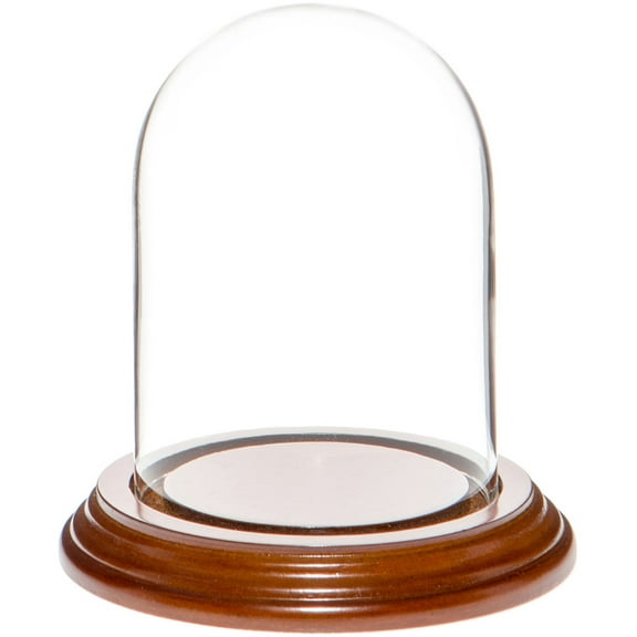 Plymor 3" x 4" Glass Display Dome Cloche (Walnut Veneer Base)