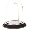 thumbnail image 1 of Plymor 3" x 4" Watch Glass Display Dome Cloche (Black Wood Veneer Base & Gold Wire), 1 of 2