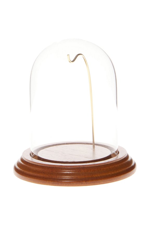 3" x 4" Watch Glass Display Dome Cloche (Oak Veneer Base & Gold Wire)