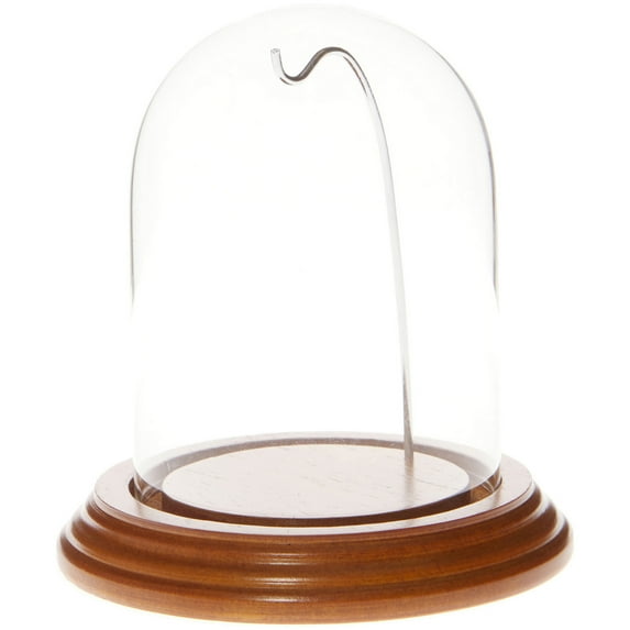 Plymor 3" x 4" Watch Glass Display Dome Cloche (Oak Veneer Base & Silver Wire)