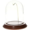 thumbnail image 1 of Plymor 3" x 4" Watch Small Glass Display Dome Cloche (Walnut Veneer Base & Gold Wire), 1 of 1