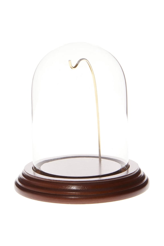 3" x 4" Watch Small Glass Display Dome Cloche (Walnut Veneer Base & Gold Wire)