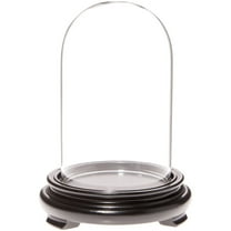 Plymor 3" x 5" Glass Display Dome Cloche (Black Wood Veneer Footed Base)
