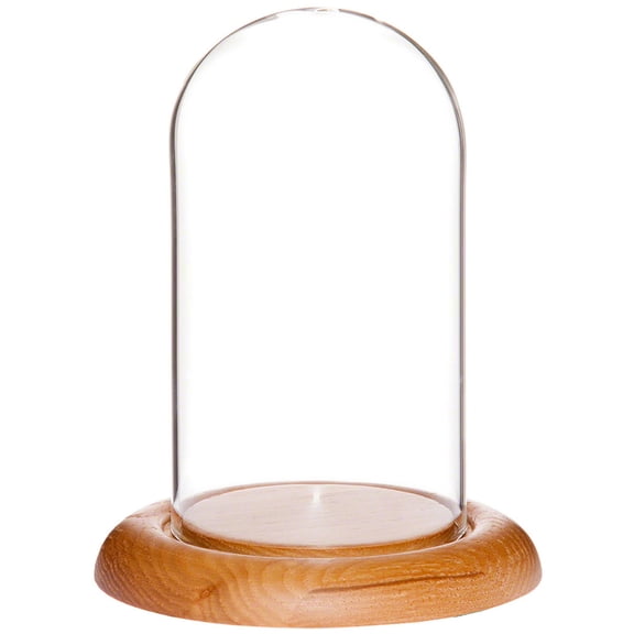 Plymor 3" x 5" Glass Display Dome Cloche (Oak Wood Base)