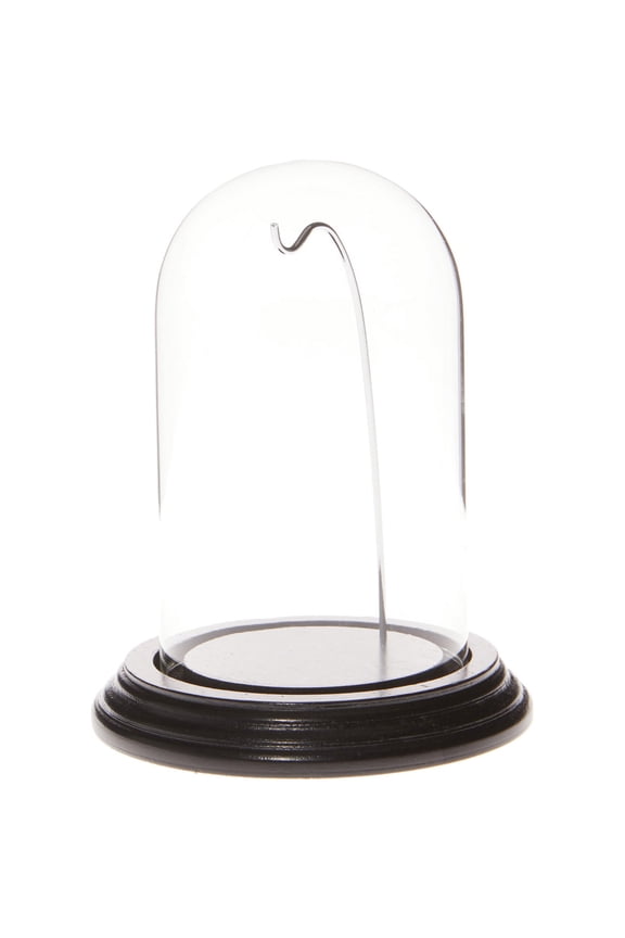 3" x 5" Watch Glass Display Dome Cloche (Black Wood Veneer Base & Silver Wire)