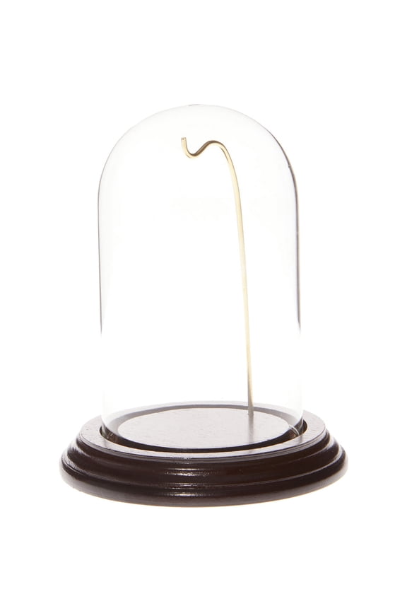 3" x 5" Watch Glass Display Dome Cloche (Dark Mahogany Veneer Base & Gold Wire)