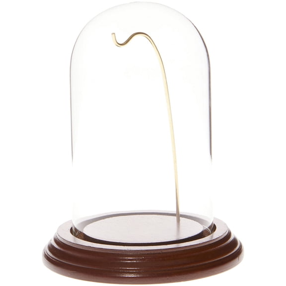 Plymor 3" x 5" Watch Glass Display Dome Cloche (Walnut Veneer Base & Gold Wire)