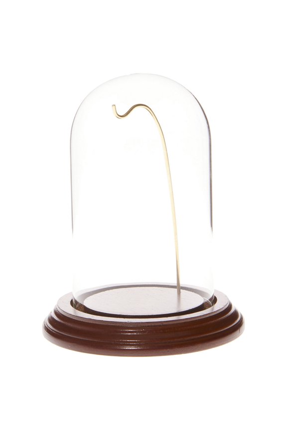 3" x 5" Watch Glass Display Dome Cloche (Walnut Veneer Base & Gold Wire)