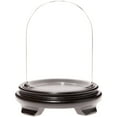 thumbnail image 1 of Plymor 4.5" x 6" Glass Display Dome Cloche (Black Wood Veneer Footed Base), 1 of 1