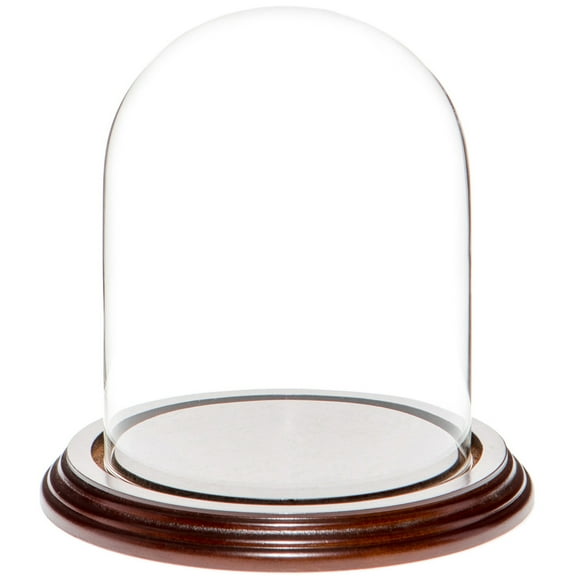Plymor 4.5" x 6" Glass Display Dome Cloche (Dark Mahogany Veneer Base)