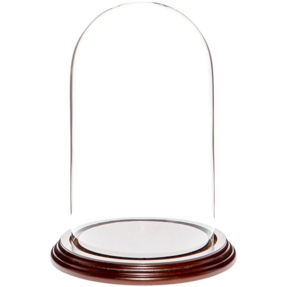 Plymor 4.5" x 8" Glass Display Dome Cloche (Dark Mahogany Veneer Base)