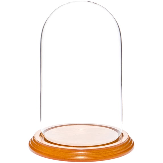 Plymor 4.5" x 8" Glass Display Dome Cloche (Oak Veneer Base)
