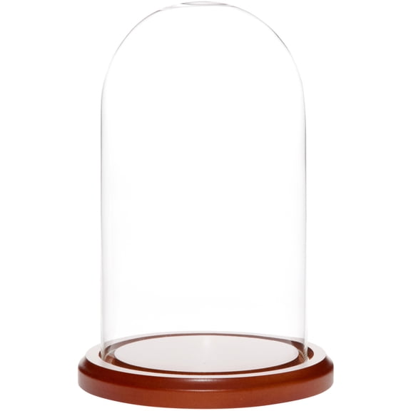 Plymor 4.5" x 8" Glass Display Dome Cloche (Walnut MDF Base)