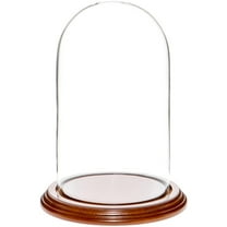Plymor 4.5" x 8" Glass Display Dome Cloche (Walnut Veneer Base)