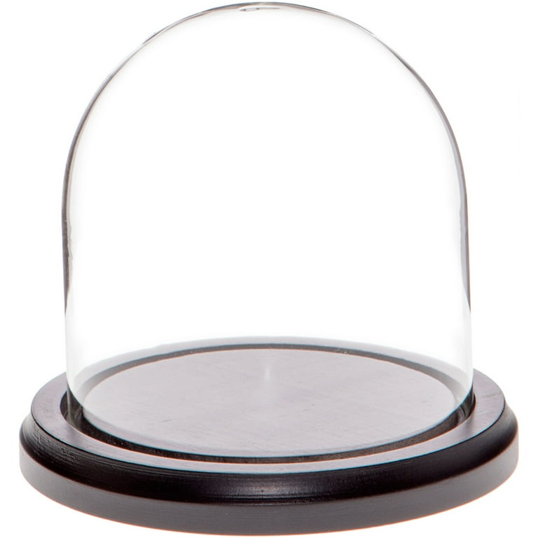 Plymor 4 x 4 Glass Display Dome Cloche (Black MDF Wood Base)