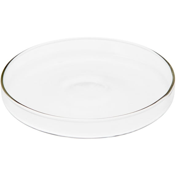 Plymor 4" x 4" Round Glass Display Tray, Pack of 12