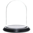 thumbnail image 1 of Plymor 4" x 5.25" Glass Display Dome Cloche (Black Wood Veneer Base), 1 of 4