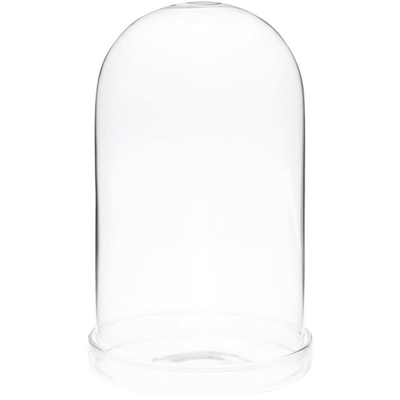Plymor 4" x 7" Glass Display Dome Cloche (Clear Glass Tray Base)