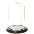 thumbnail image 1 of Plymor 4" x 7" Watch / Ornament Glass Display Dome Cloche (Black Wood Veneer Base & Gold Wire), 1 of 1