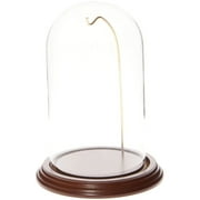 Plymor 4" x 7" Watch / Ornament Glass Display Dome Cloche (Walnut Veneer Base & Gold Wire)