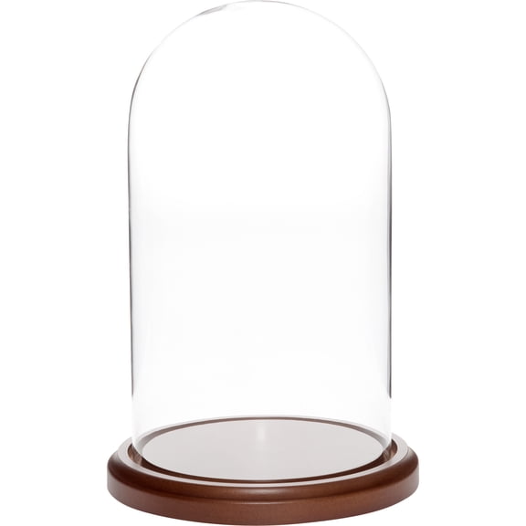 Plymor 5.5 inch x 10 inch Glass Display Dome Cloche (Dark Wood Base)