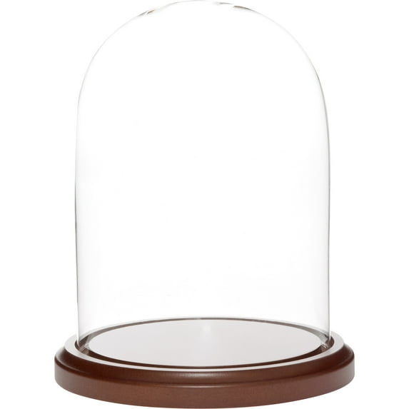 Plymor 5.5 inch x 8 inch Glass Display Dome Cloche (Dark Wood Base)