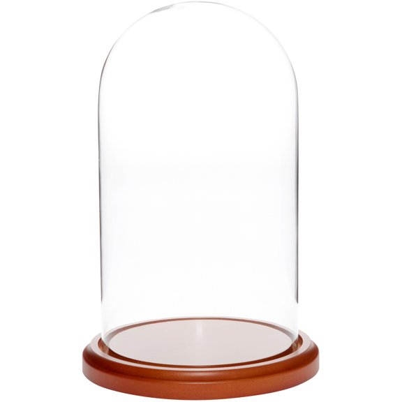 Plymor 5.5" x 10" Glass Display Dome Cloche (Walnut MDF Base)