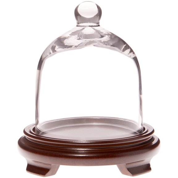 Plymor 5" x 6" Bell Jar Glass Display Dome Cloche, Walnut Wood Veneer Footed Base (Interior size 4.75" x 4.5")