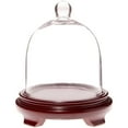 thumbnail image 1 of Plymor 6" x 7" Bell Jar Glass Display Dome Cloche, Red Wood Veneer Footed Base (Interior size 5.75" x 5.75"), 1 of 1