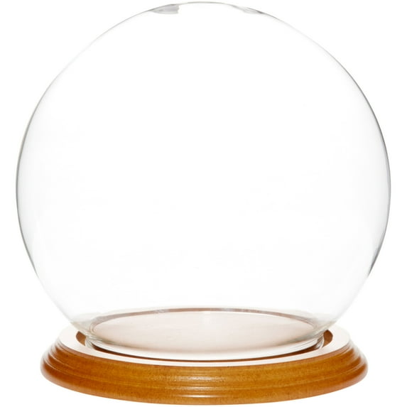 Plymor 6" x 7" Glass Display Dome Globe Cloche (Oak Veneer Base)