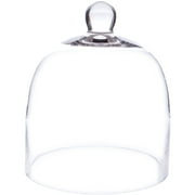 Plymor 7.875 inch x 9.5 inch Bell Jar Glass Display Dome Cloche Interior size 7.5 x 7.5