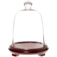 thumbnail image 1 of Plymor 8.5" x 11" Bell Jar Glass Display Dome Cloche, Red Wood Veneer Footed Base (Interior size 5.75" x 5.75"), 1 of 1