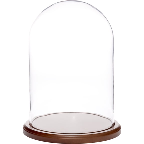 Plymor 8 inch x 12 inch Glass Display Dome Cloche (Dark Wood Base)