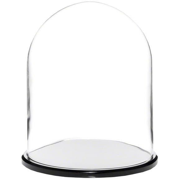 Plymor 8" x 10.25" Glass Display Dome Cloche (Black Acrylic Base)