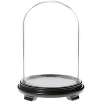 Plymor 8" x 12" Glass Display Dome Cloche (Black Wood Veneer Footed Base)